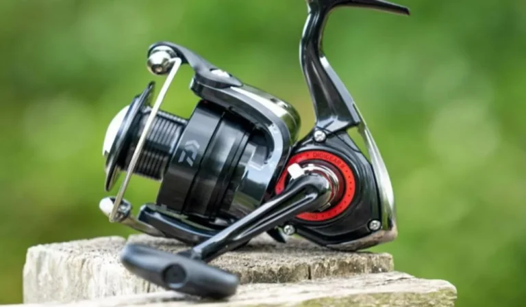 10 Best Fishing Reels in 2025
