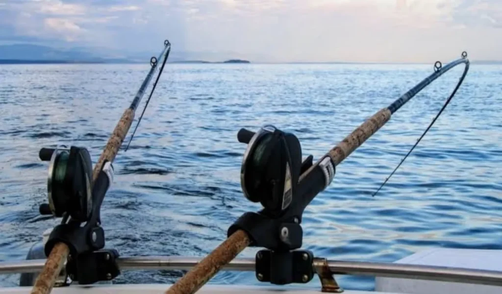 What Is a Freshwater Rod?