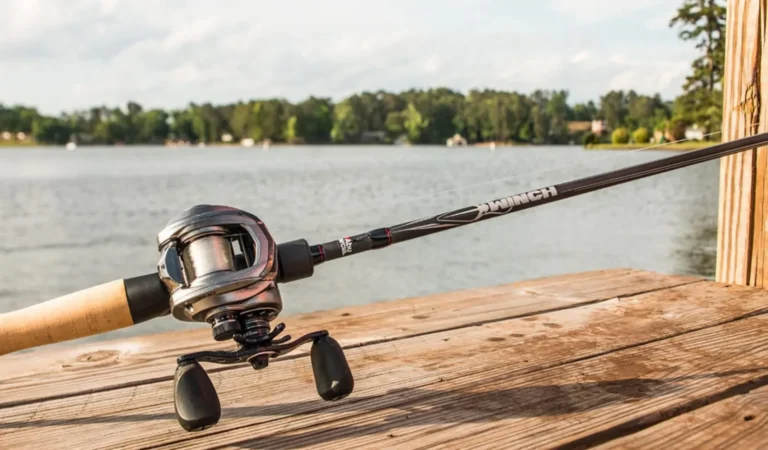 Abu Garcia Veritas Spinning Rod