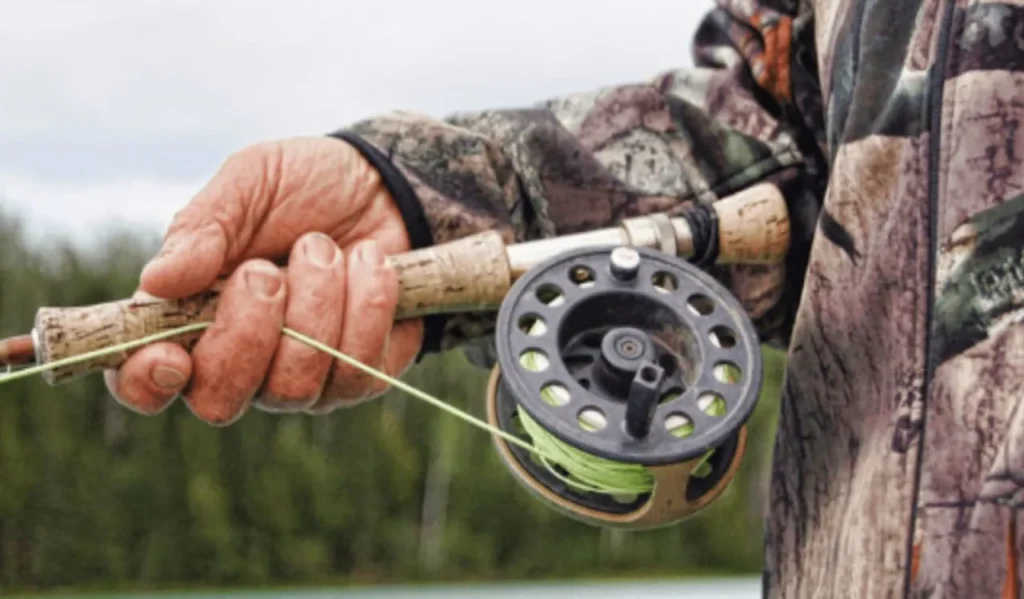Advantages of Low Gear Ratios
