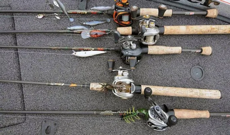 Basic and Pro Fishing Combo