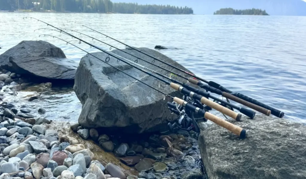 Best Fishing Rod for Accuracy: Complete Guide for Buyers 4 Freshwater vs Saltwater Accuracy Rods