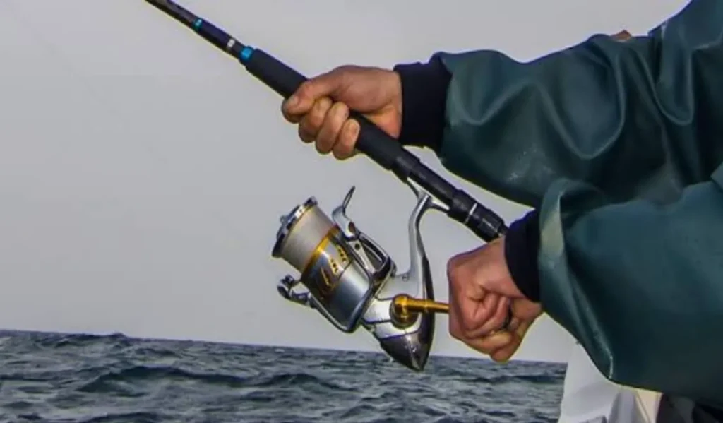 Best Heavy Duty Fishing Rod
