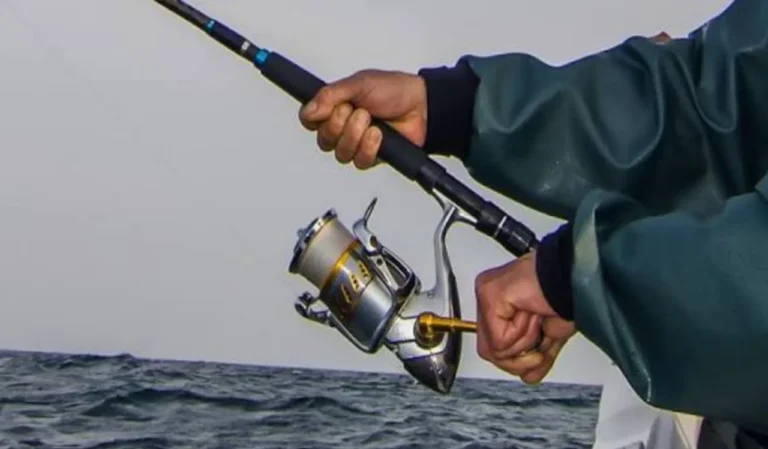 Best Heavy Duty Fishing Rod