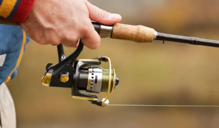 Best Lightweight Fishing Reel
