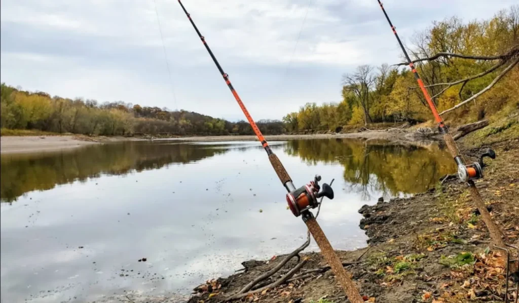 Best Locations for Bank Fishing
