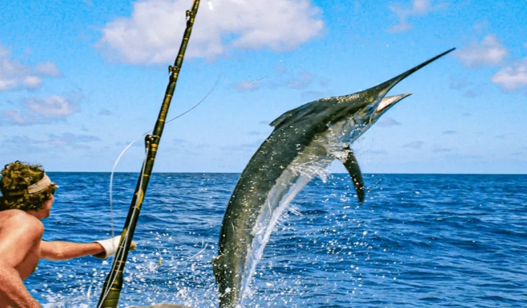 Best Locations for Deep Sea Fishing