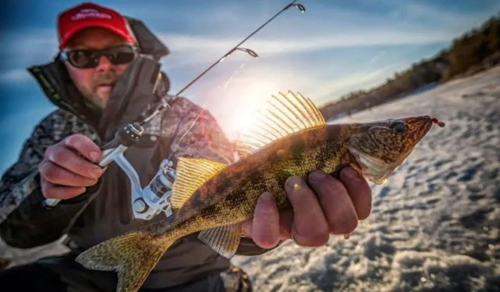 Best Multi Species Fishing Combo