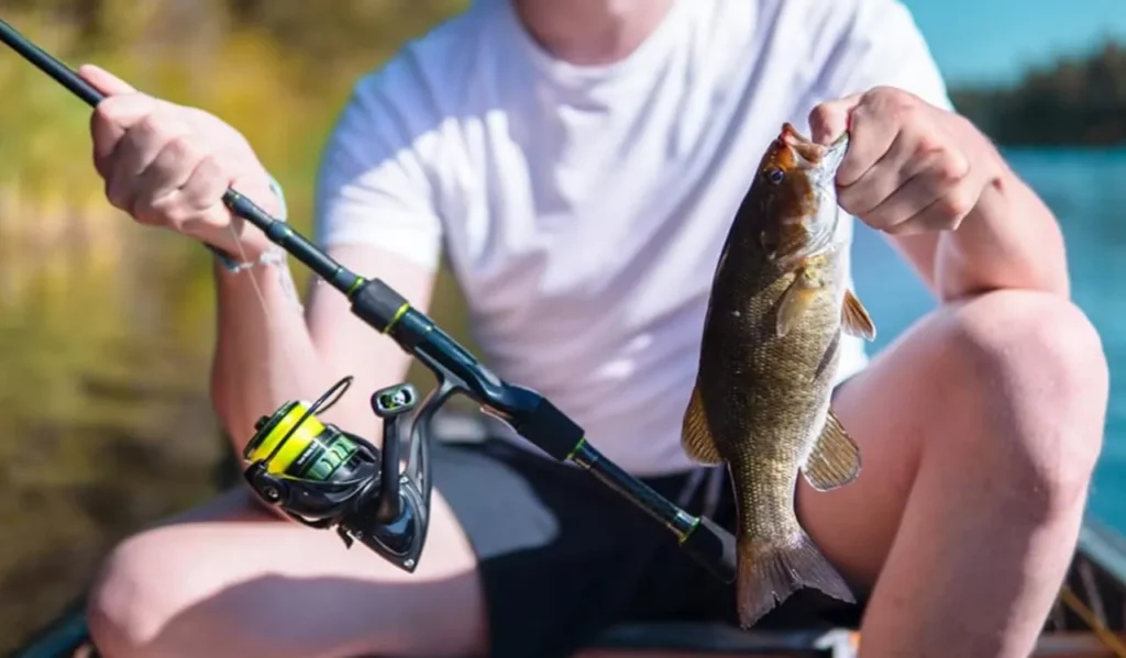 Best Multi Species Fishing Combo: Complete Buyer’s Guide 3 Choosing the Right Reel Type