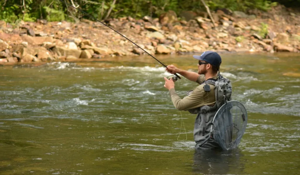 How to Improve Casting Accuracy: Complete Guide 1 Choosing the Right Rod Action and Rod Length