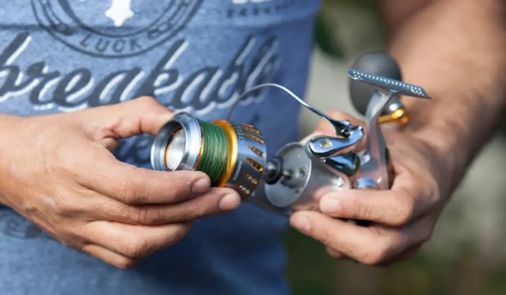 Cleaning Internal Components