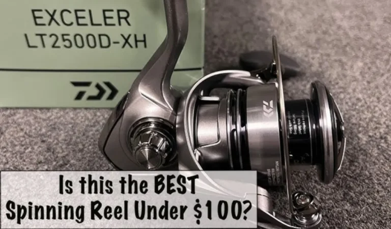 Daiwa Exceler LT Spinning Reel