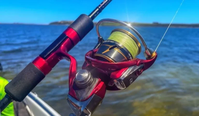 Daiwa Luvias ST Spinning Reels