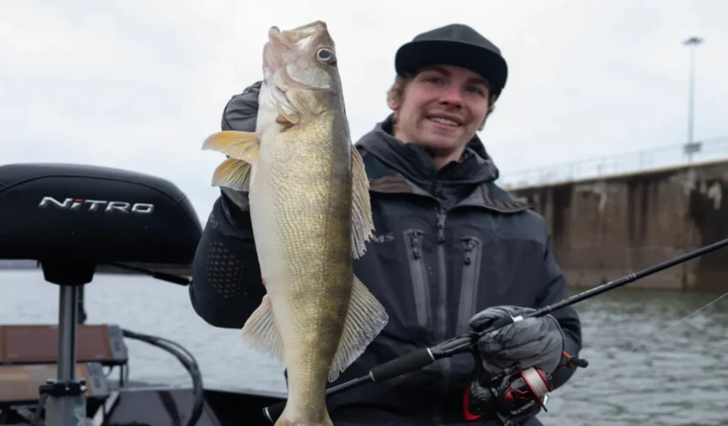 KastKing Perigee II Spinning Rod: Best Spinning Rod for Bass and Trout 2 Durability and Strength