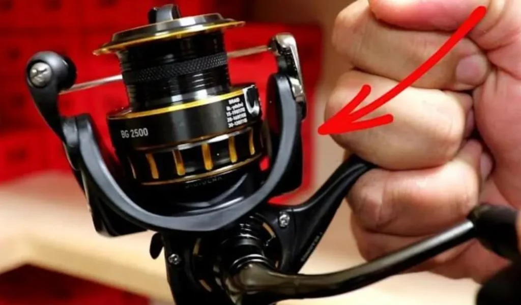 Fishing Reel Gear Ratio Guide