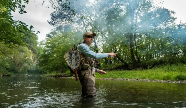 Fly Rod vs Spinning Rod