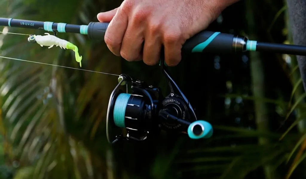 Freshwater Reel vs Saltwater Reels