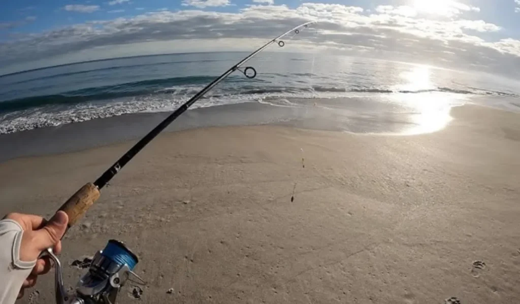 Best Fishing Reel for Distance Casting: Complete Guide for Anglers 3 Gear Ratio and Distance Casting