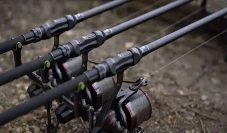 Graphite vs Fiberglass Fishing Rod