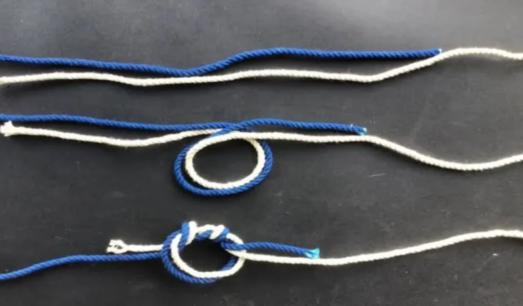 Guide to Fishing Knots for Beginners
