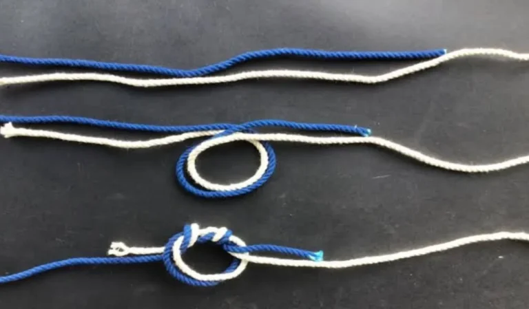 Guide to Fishing Knots for Beginners