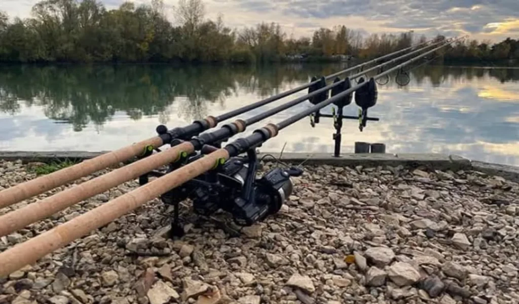 Best Fishing Rod for River Fishing: Complete Guide for Buyers 3 Handle and Grip Considerations