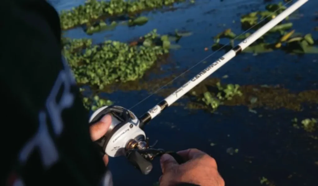 How to Choose the Correct Rod Action: Complete Guide 3 How to Choose the Correct Rod Action
