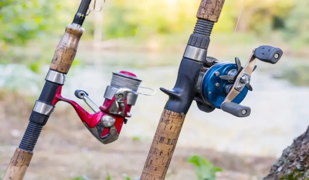 Freshwater vs Saltwater Reels