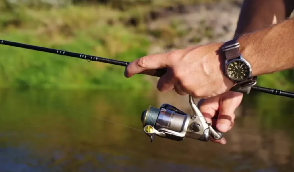 How to Match Rod and Reel Properly: Complete Fishing Guide 3 Freshwater vs Saltwater Matching