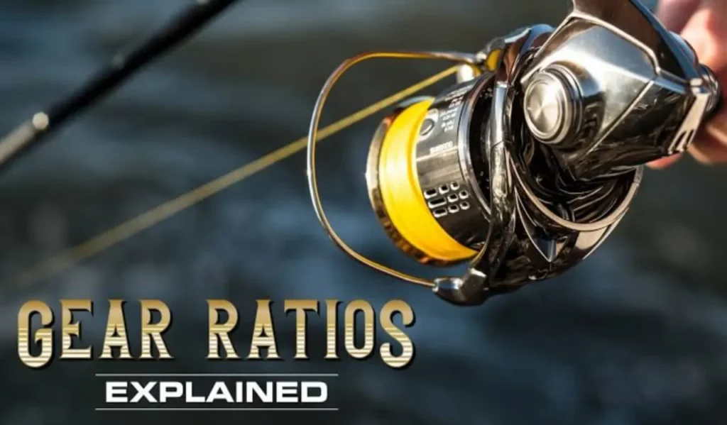How to Pick the Best Gear Ratio for Your Reel