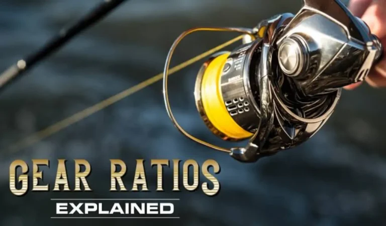How to Pick the Best Gear Ratio for Your Reel