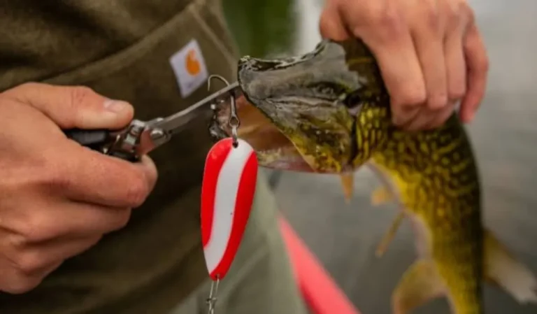 How to Set the Hooks Like a Pro
