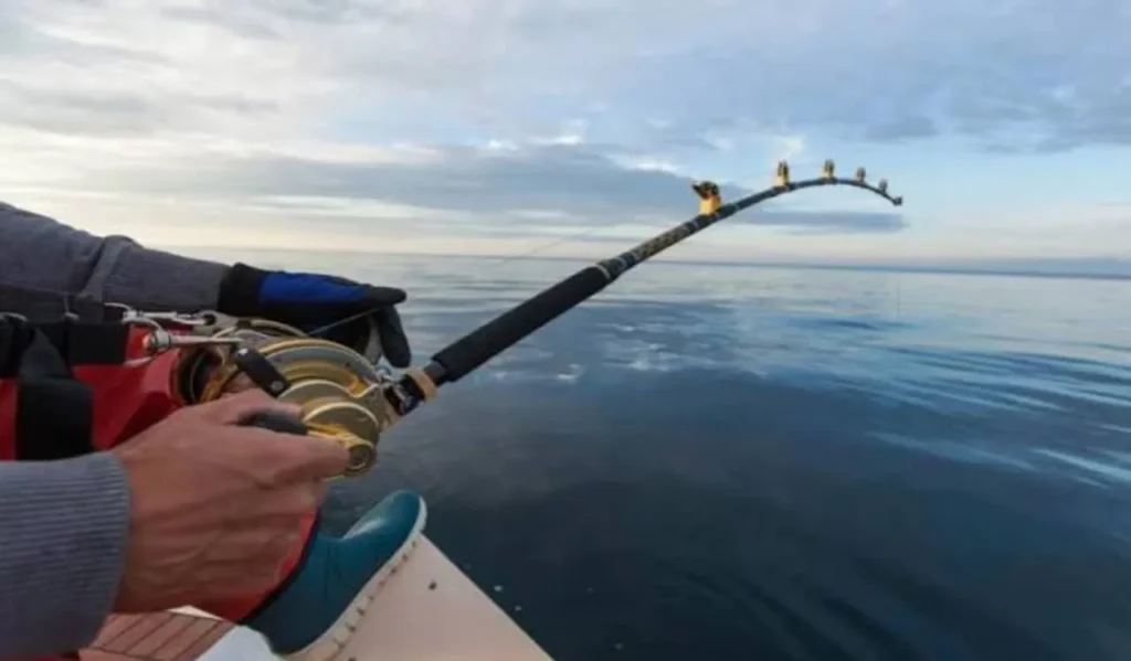 Best Heavy Duty Fishing Rod: Ultimate Guide for Buyers 2 Ideal Rod Length for Heavy Duty Fishing