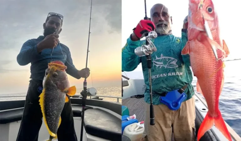 Jigging Rod vs Trolling Rod