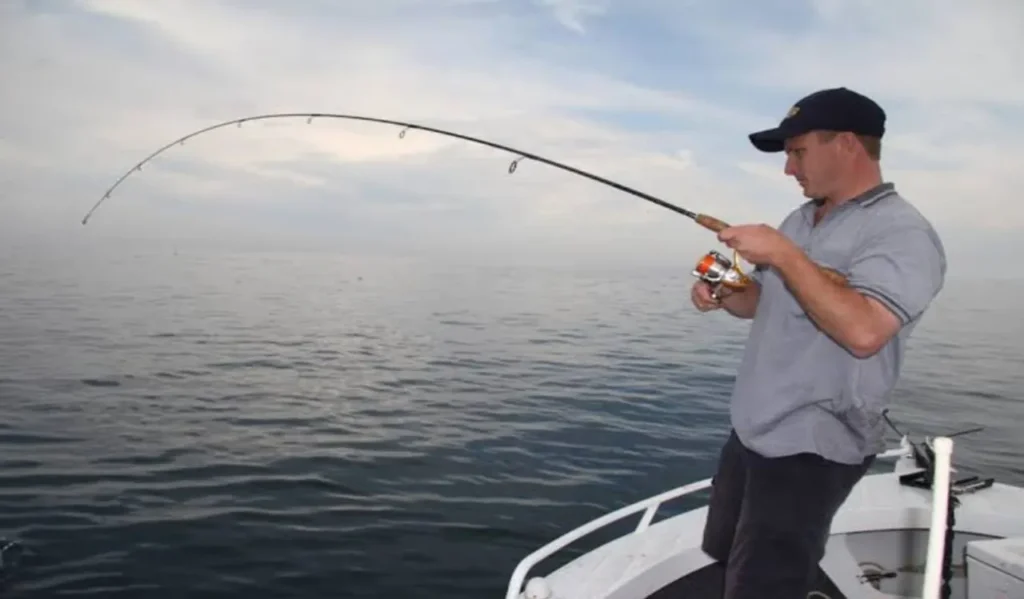 Jigging Rods and Reels