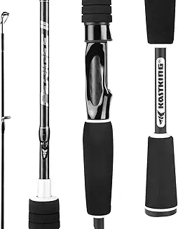 KastKing Perigee II 1