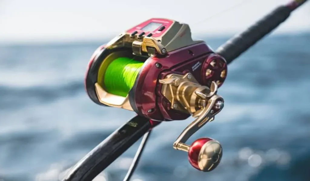 Daiwa 24 Seaborg Electric Reels: Ultimate Guide for Buyers 3 Line Capacity and Spool Performance