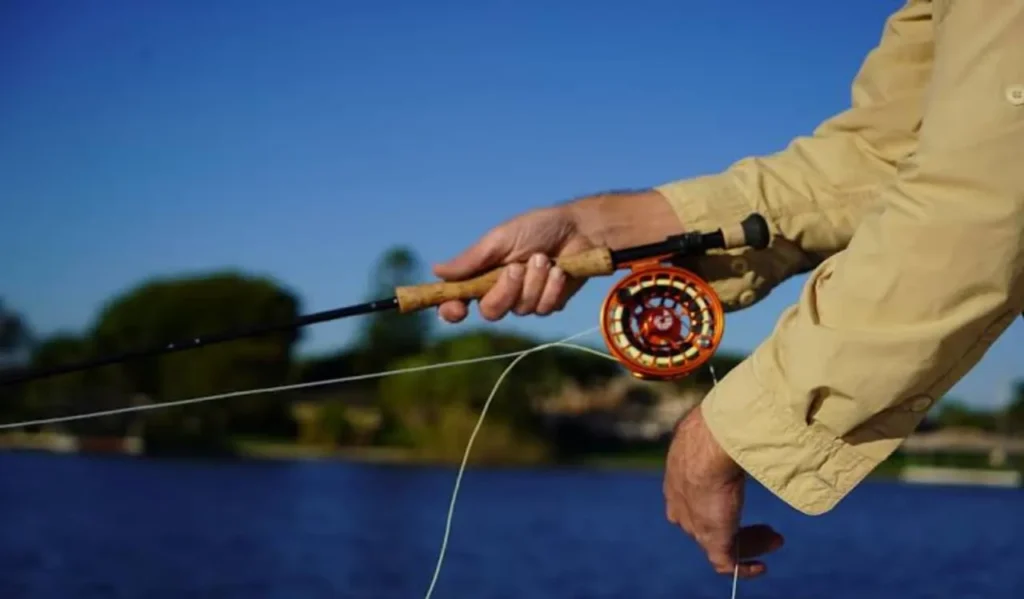 Matching Gear Ratio to Lure Type