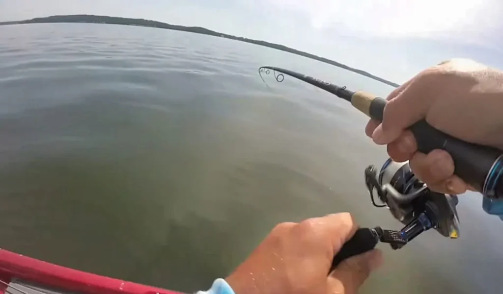 Performance and Sensitivity of Cadence CR5 Spinning Rod