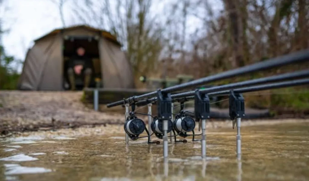 Performance and Sensitivity of PLUSINNO Two Piece Spinning Rod