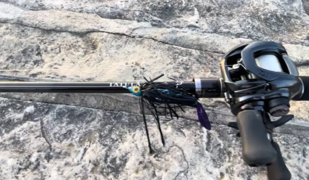 Daiwa Aird X Spinning Rod Review: Best Budget Rod for Freshwater 3 Real-World Feedback and Reputation of Daiwa Aird X Rod