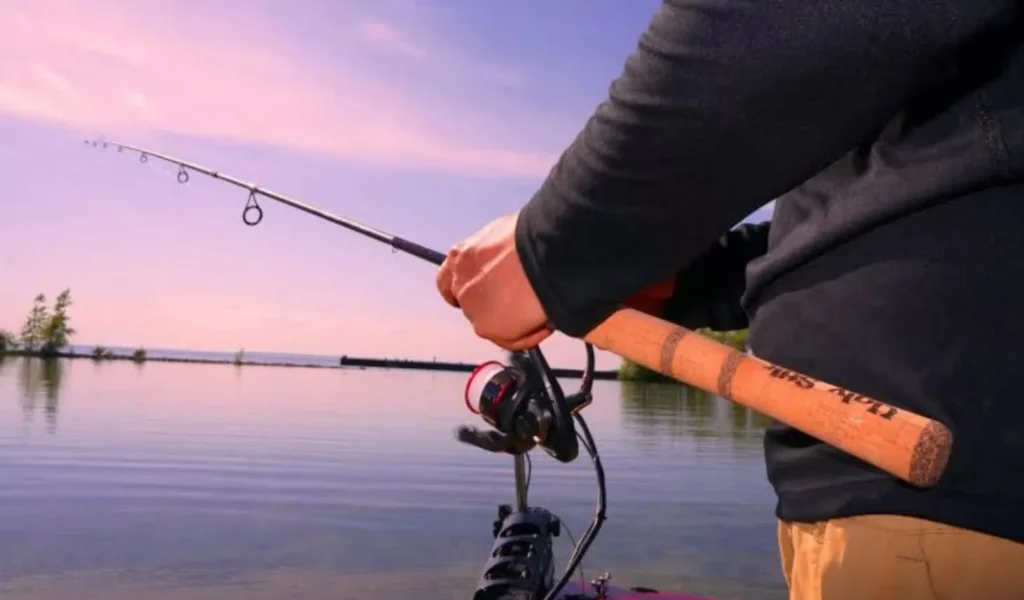 Ugly Stik Elite Spinning Rod: Durable Rod for Freshwater and Saltwater 2 Sensitivity and Bite Detection