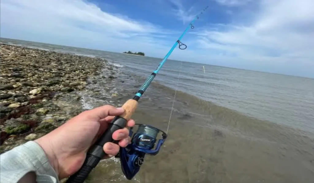 Best Fishing Reel for Distance Casting: Complete Guide for Anglers 2 Spinning Reels for Distance Casting