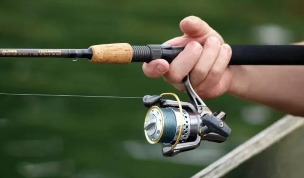 Spinning Reels for Lightweight Fishing