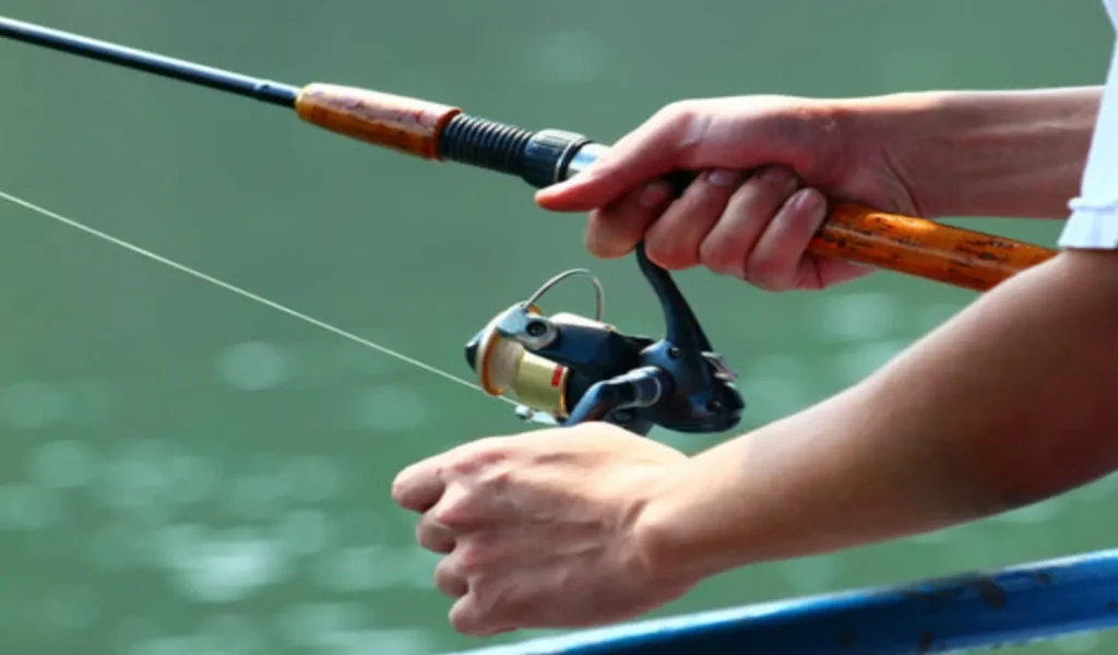 Spinning Rod vs Casting Rod