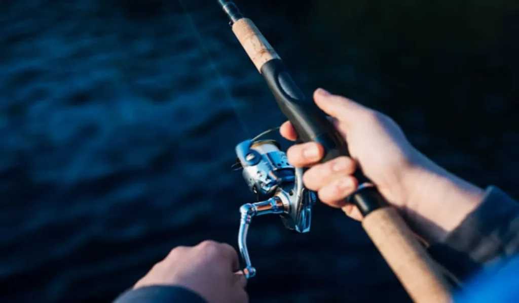 Starting a Fishing Blog Website