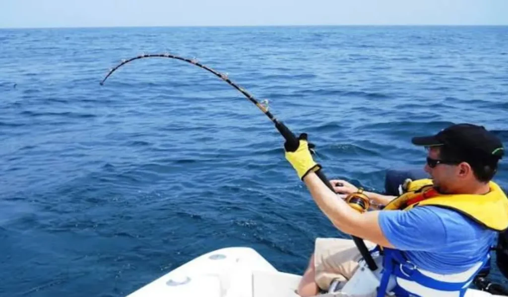 Best Heavy Duty Fishing Rod: Ultimate Guide for Buyers 4 Techniques Suited for Heavy-Duty Rods
