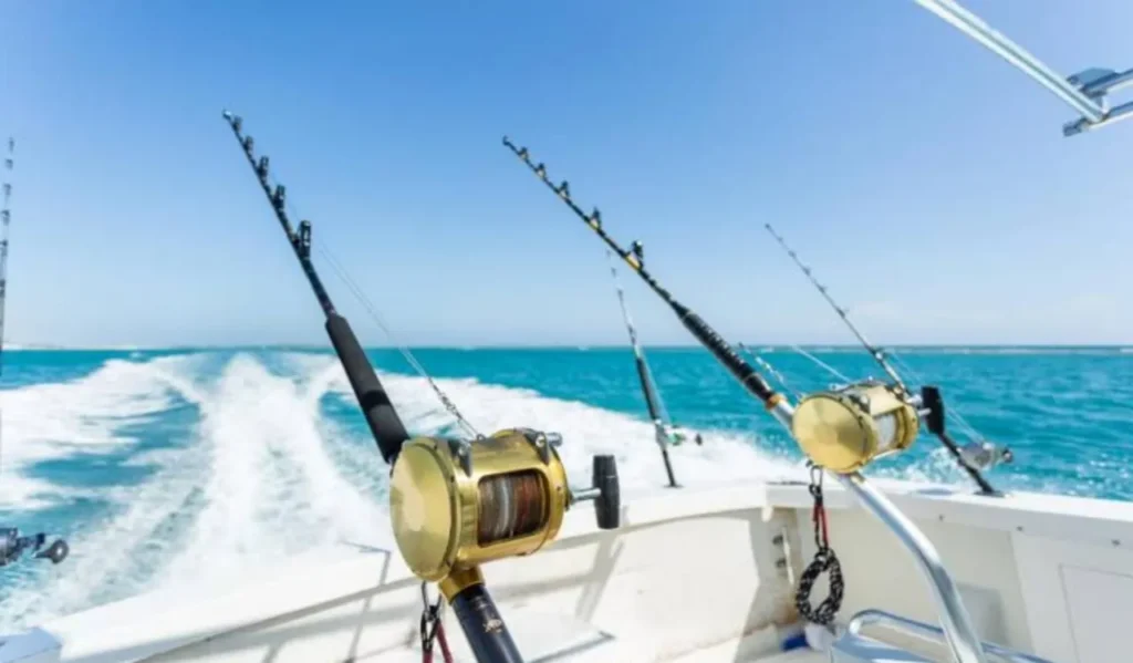 Trolling Fishing Rods and Reels