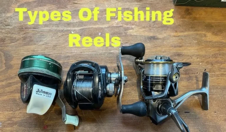 Types of Fishing Reels for Beginners
