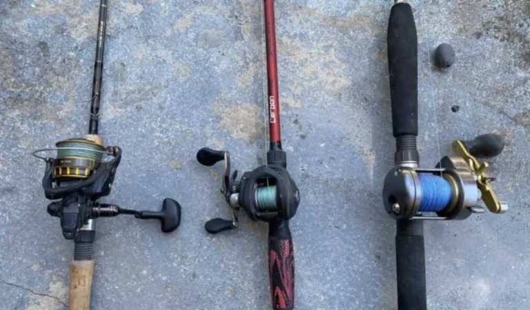 Types of Fishing Rods